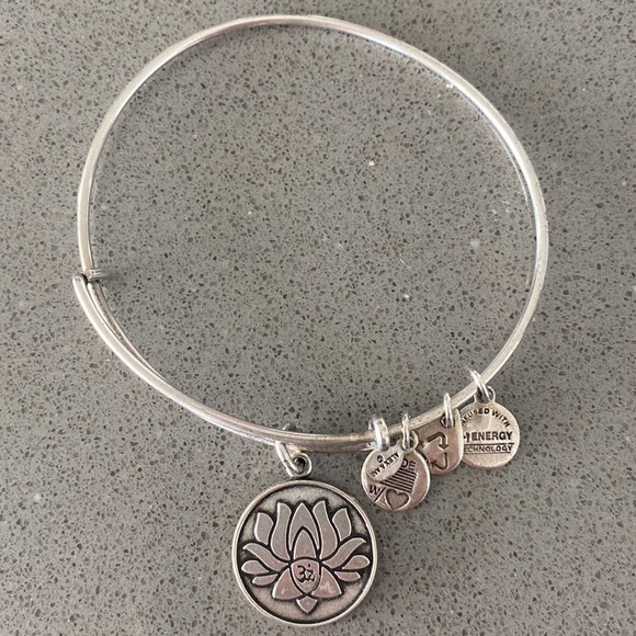 Alex & Ani Bangle Bracelets - Bundle of 3 - Picture 5 of 9